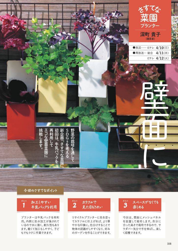 牛乳パックを再利用 エコな壁面菜園に挑戦 やさいの時間 より Nhk出版デジタルマガジン