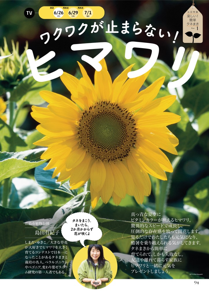 ワクワクが止まらない！ ヒマワリをタネから育ててみよう【「趣味の