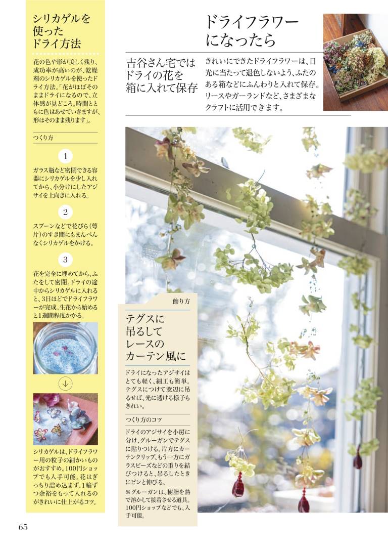 アジサイを長 く楽しむためのさまざま秘訣 教えましょう 趣味の園芸6月号 より Nhk出版デジタルマガジン