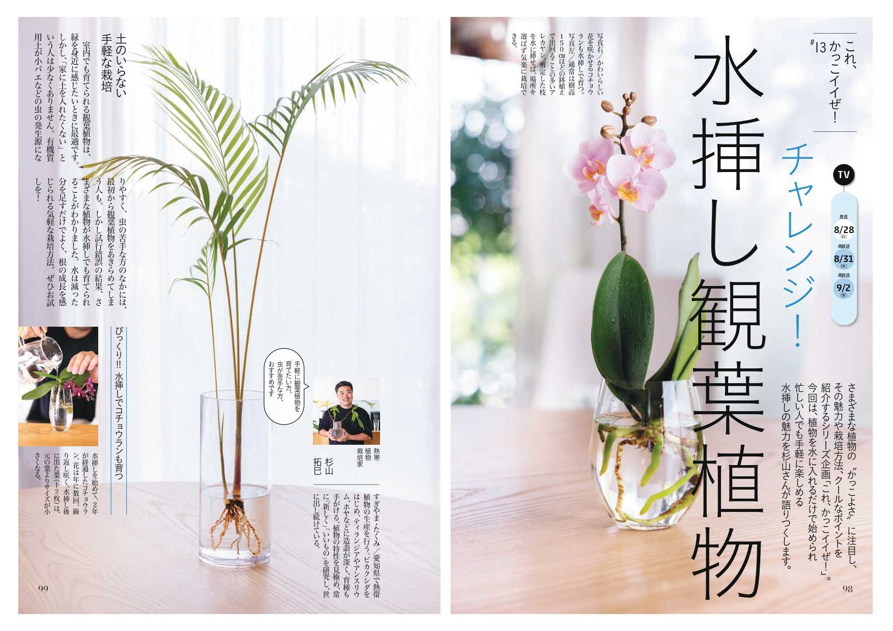 忙しい人でも手軽で簡単 観葉植物の水挿し栽培 趣味の園芸 8月号より Nhk出版デジタルマガジン