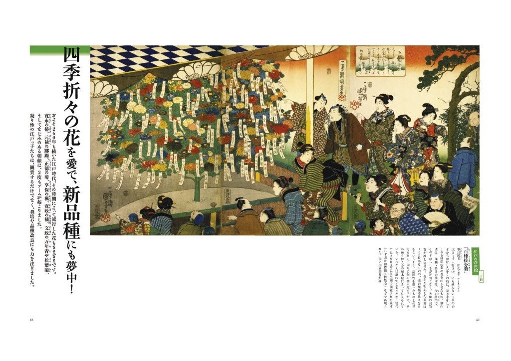 浮世絵で読み解く、現代にも役立つ究極の江戸ライフ【趣味どきっ！8－9月号 『浮世絵で体感！リアルな江戸LIFE（ライフ）』】 |  NHK出版デジタルマガジン