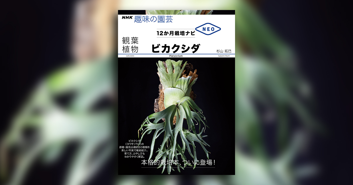超レア】ビカクシダ属 研究本 【公式通販】