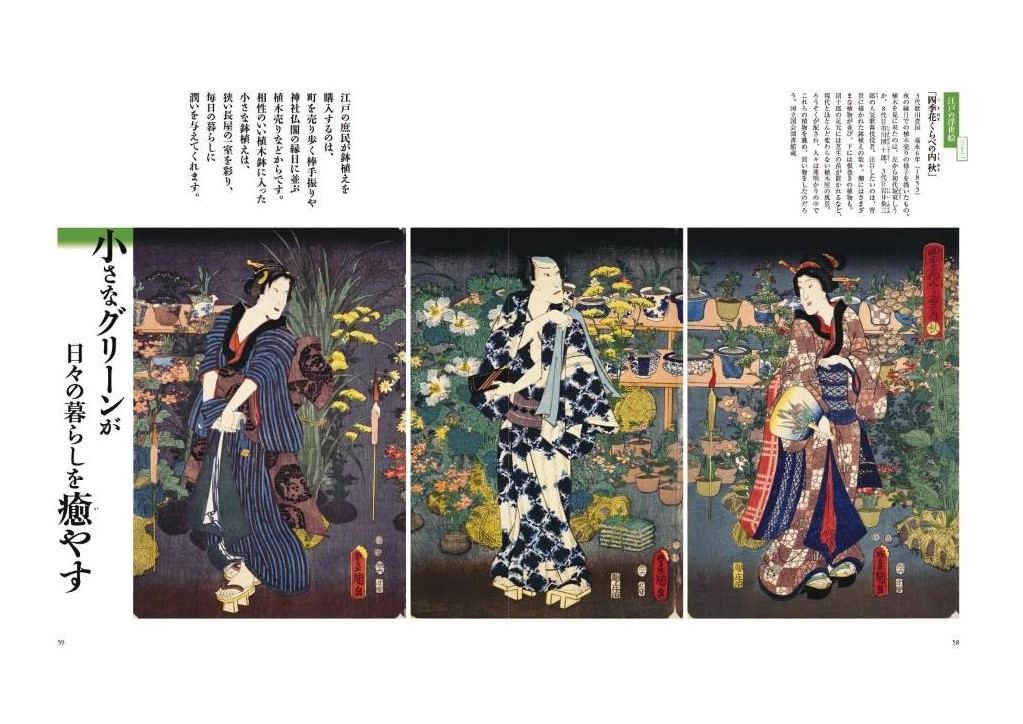 「日本美術全集 第15巻 江戸時代IV 浮世絵と江戸の美術」月報付 日本美術全集15 浮世絵と江戸の美術 (日本美術全集(全20巻