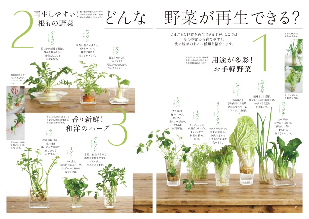 初心者大歓迎！そこそこで大成功！の 菜園ライフ【『趣味の園芸 やさい