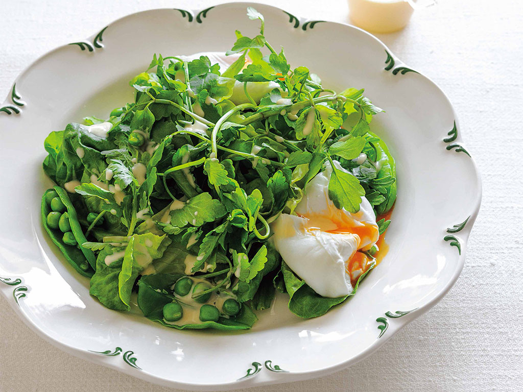 栗原はるみさんに教わる、春らしさ満点のグリーンサラダ【きょうの料理】 | NHK出版デジタルマガジン