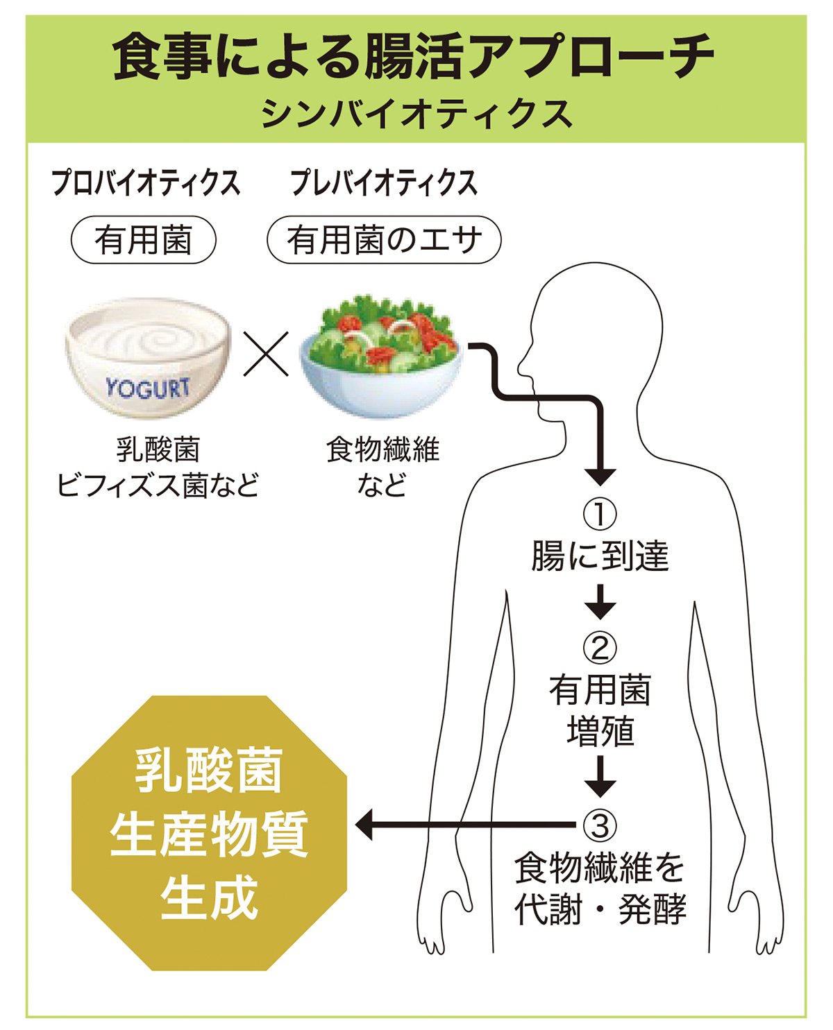 腸活」広告企画】短鎖脂肪酸に注目！ | NHK出版デジタルマガジン