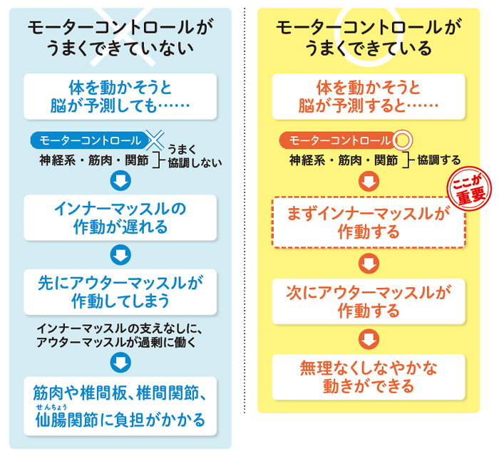 腰痛の基礎】「モーターコントロール」の乱れが、腰痛を呼ぶ