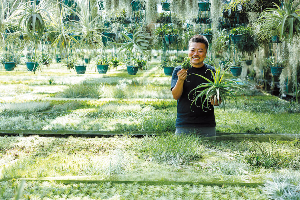 観葉植物をもっと楽しく。『観葉植物 パーフェクトブック』発売記念
