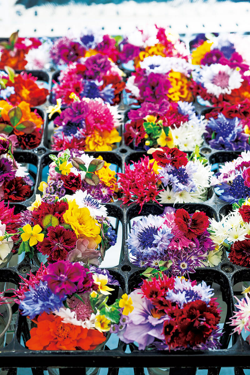 見た目の美しさに加え、栄養価の高さでも注目されるエディブルフラワー