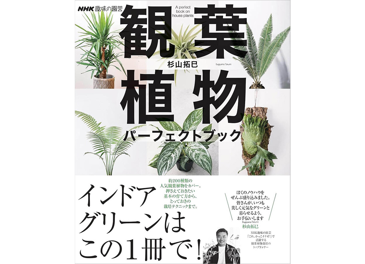 観葉植物をもっと楽しく。『観葉植物 パーフェクトブック』発売記念