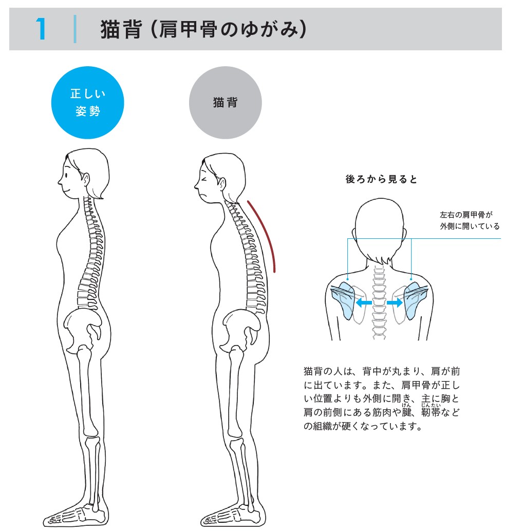 写真で見る姿勢均整術と整復手技 写真で見る姿勢均整術と整復手技 : 長谷愼一 | HMV&BOOKS online