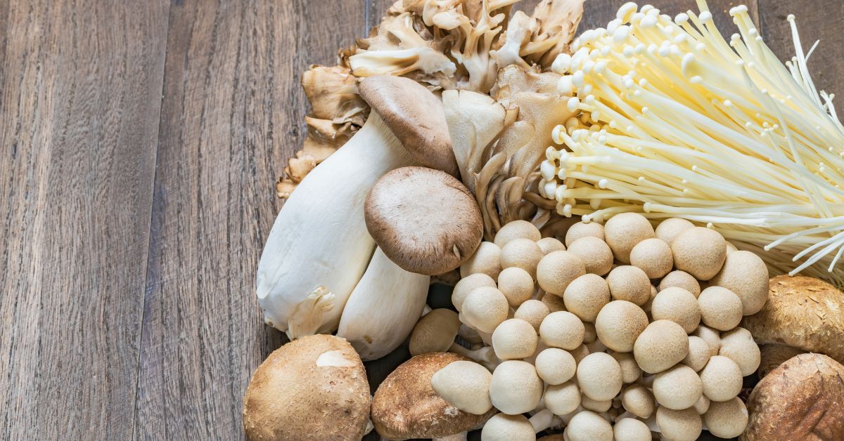 豪華で新しい きのこの栄養成分とうま味が増すシンプルレシピ【明日から使える 和食