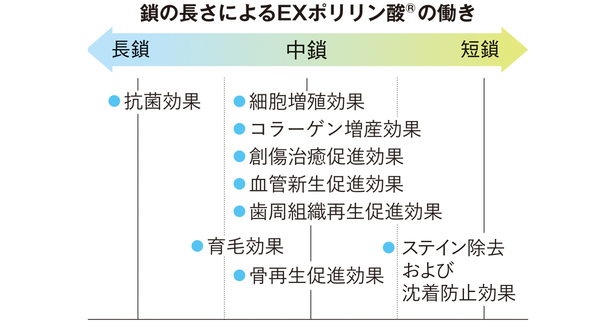 オーラルフレイル予防広告企画】再生医療研究から生まれた天然成分 EXポリリン酸®を毎日のオーラルケアに | NHK出版デジタルマガジン