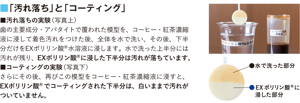 オーラルフレイル予防広告企画】再生医療研究から生まれた天然成分 EXポリリン酸®を毎日のオーラルケアに | NHK出版デジタルマガジン