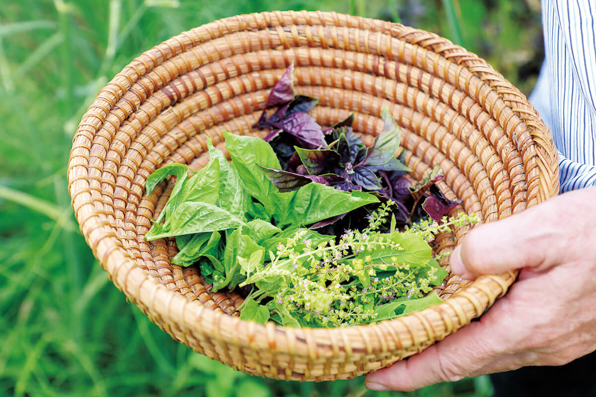 ハーブ栽培の素朴なギモン「ハーブは難しくて手間がかかる？」「肥料は