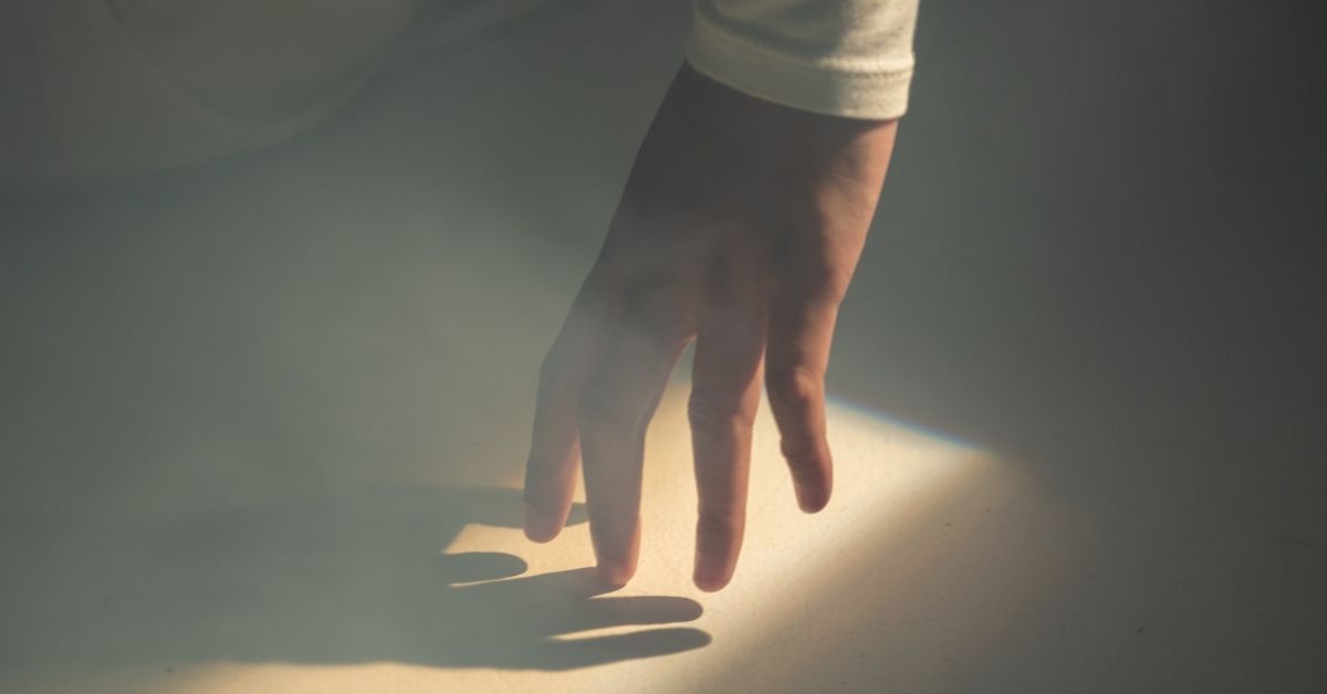 創傷のすべて　キズをもつすべての人のために 創傷のすべて: キズをもつすべての人のために | 市岡 滋 |本