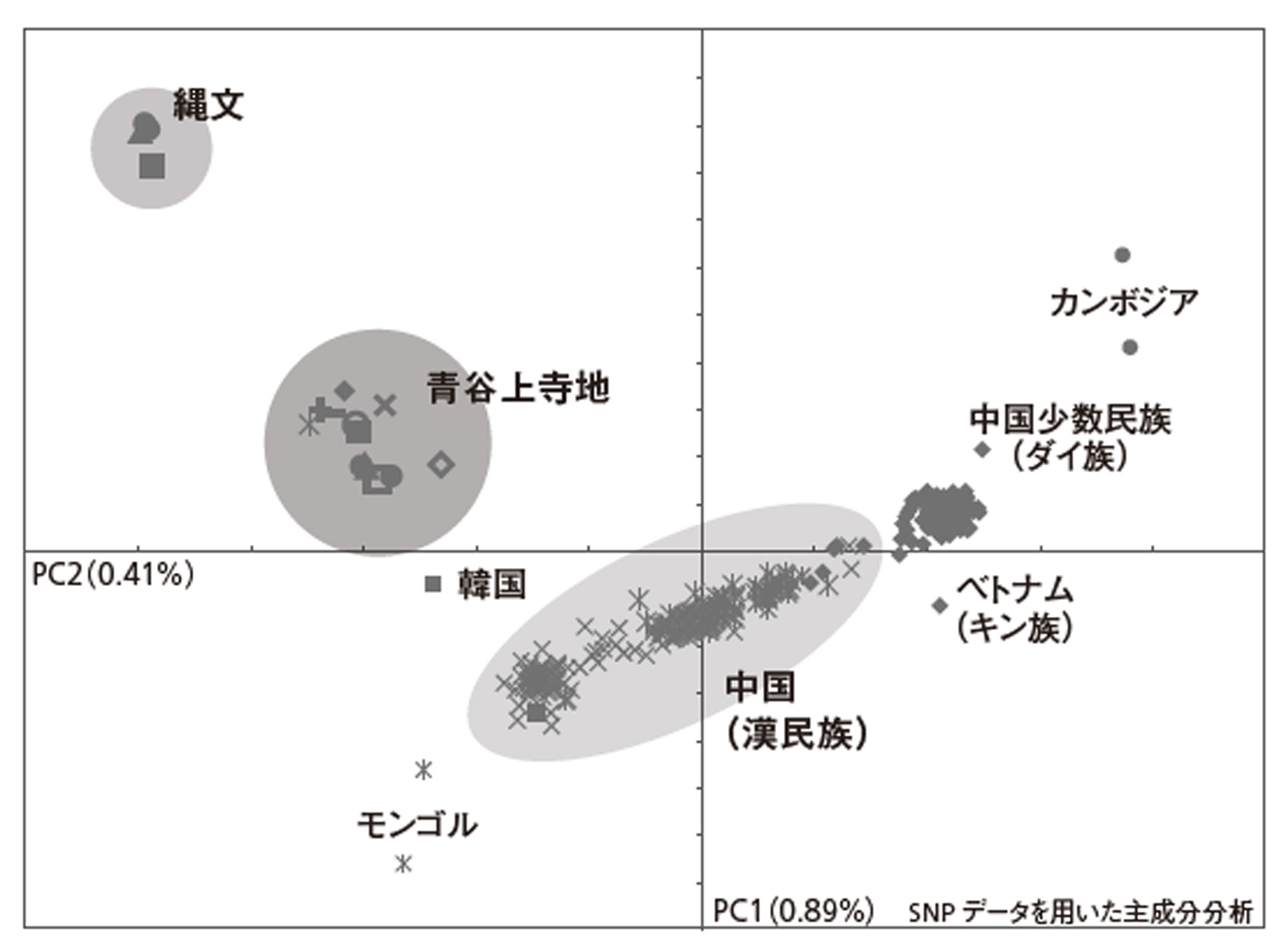 爆買い 英語 古代ゲノム分析で迫る日本人の起源「渡来人が縄文人と混ざり合っ 文学・小説