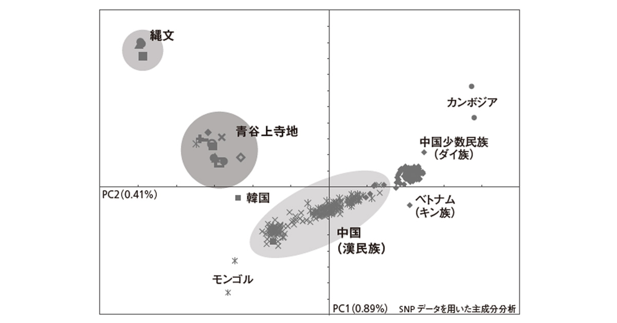 古代ゲノム分析で迫る日本人の起源「渡来人が縄文人と混ざり合って弥生