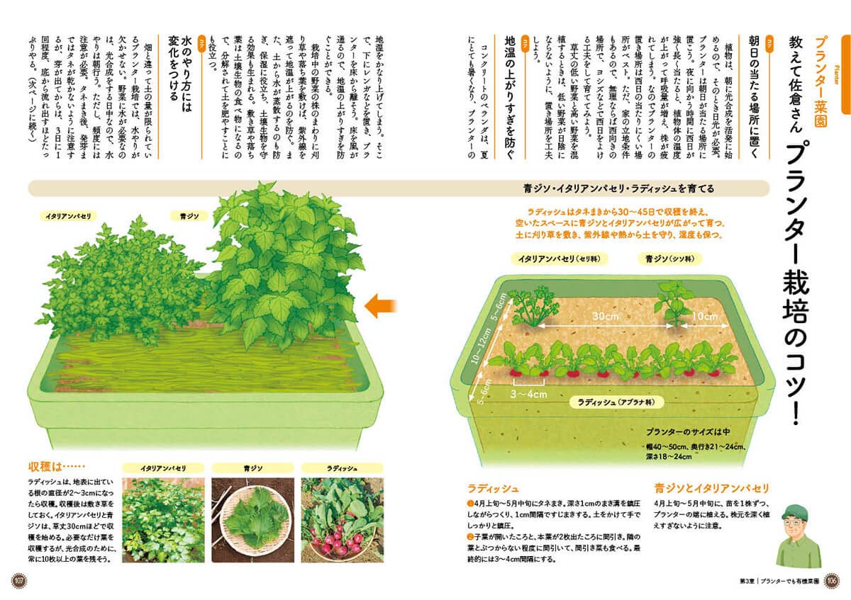自然のチカラで育つ野菜づくり！有機の菜園12か月』いのちのつながりを
