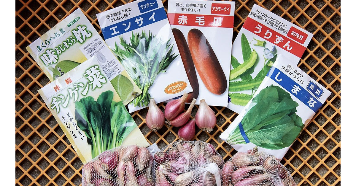 猛暑で今までの夏野菜が育たない…そんなときこそ「沖縄野菜」に