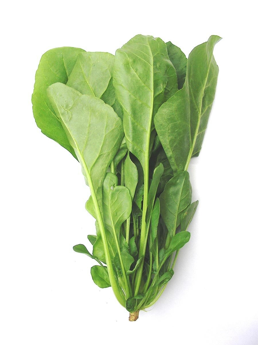 猛暑で今までの夏野菜が育たない…そんなときこそ「沖縄野菜」に注目を