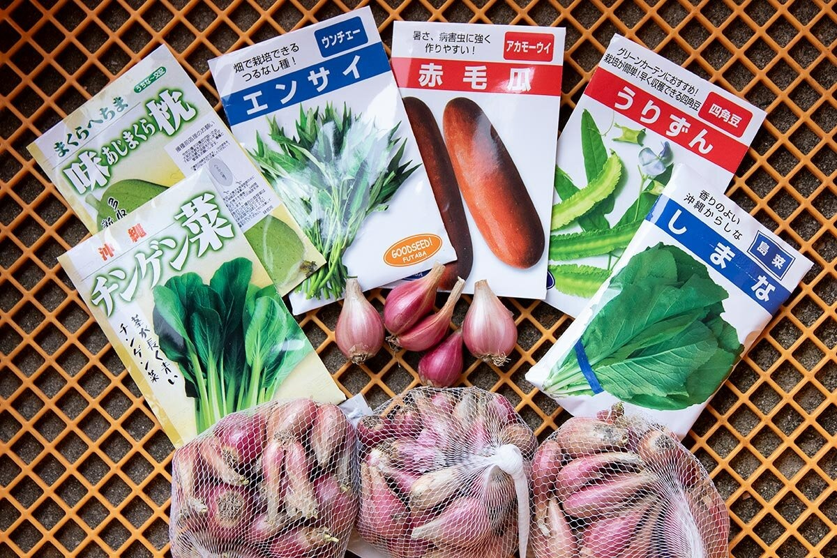 猛暑で今までの夏野菜が育たない…そんなときこそ「沖縄野菜」に注目を