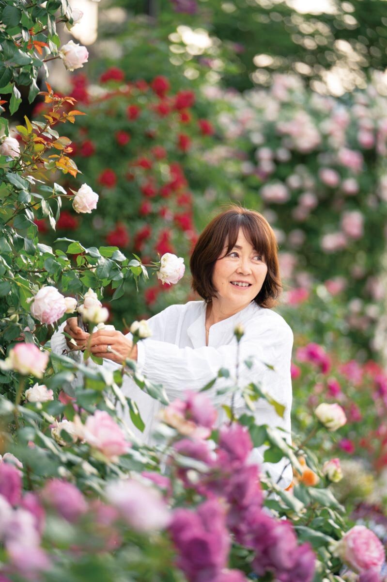 1鉢からはじめるバラのある暮らし “バラをもっと身近に”——後藤みどり