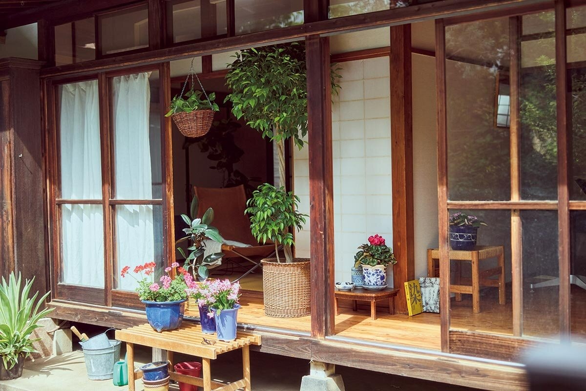 昭和100年」に振り返る、日本の園芸の変遷 | NHK出版デジタルマガジン