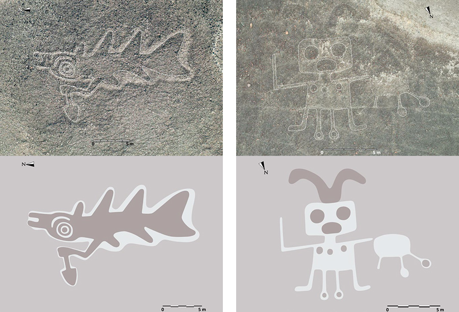 ナスカの地上絵、AIによる「発見ラッシュ」【NHK3か月でマスターする