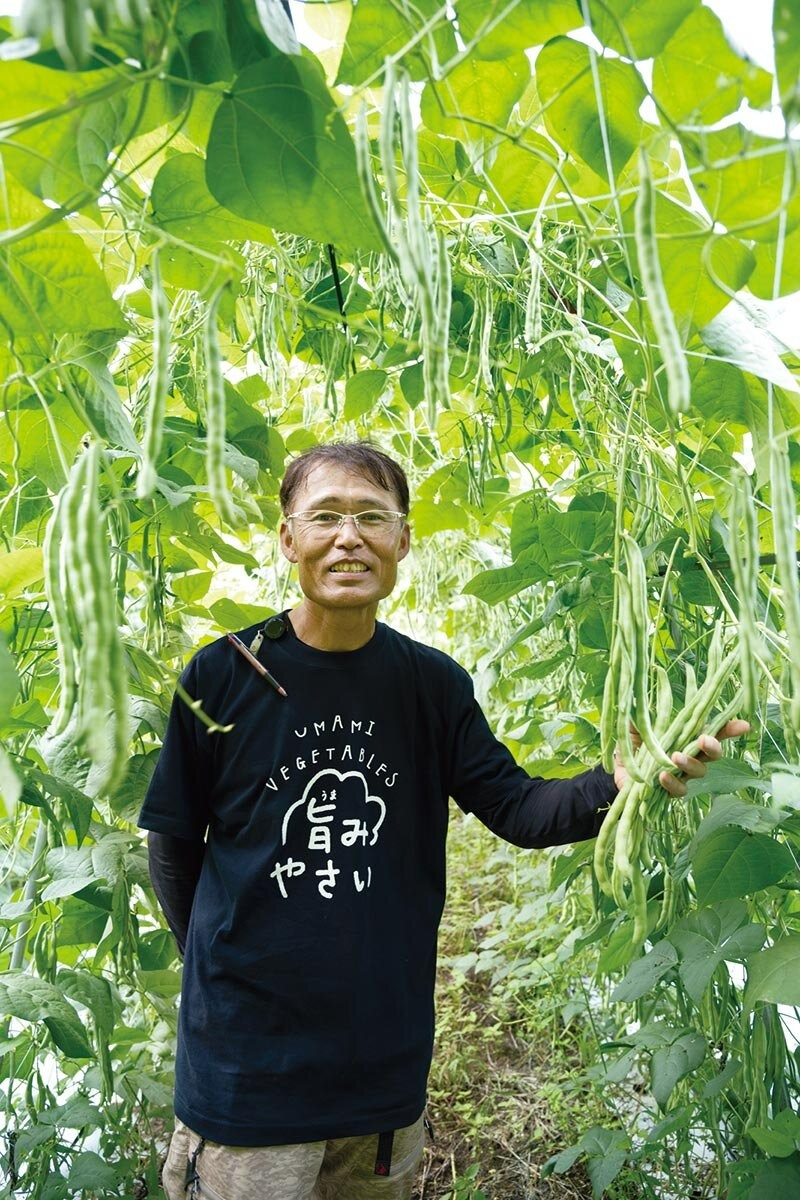 農業技術大系 全12巻 野菜編 農業技術大系 全8巻 土壌施肥編 初版フルセット 農業技術大系 全12巻 野菜編 農業技術大系 全8巻