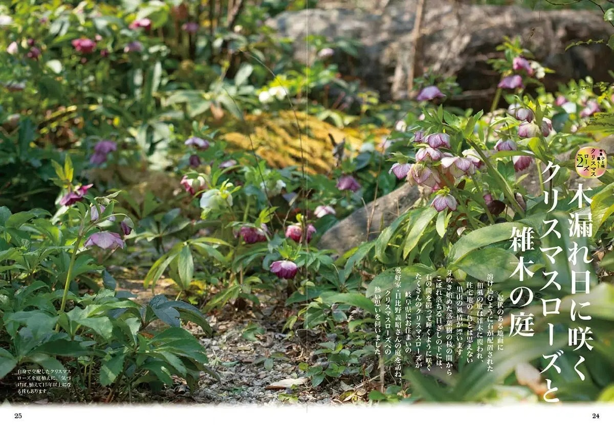 川上未映子氏・特別寄稿】『趣味の園芸』2月号は、かつてない