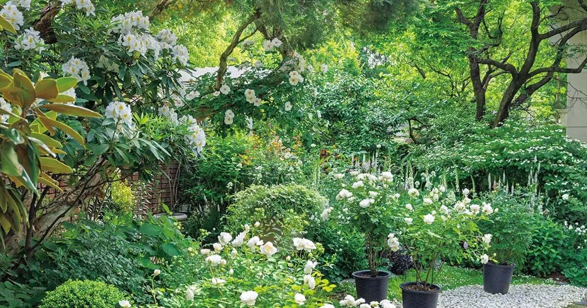 garden_jan_top.jpg
