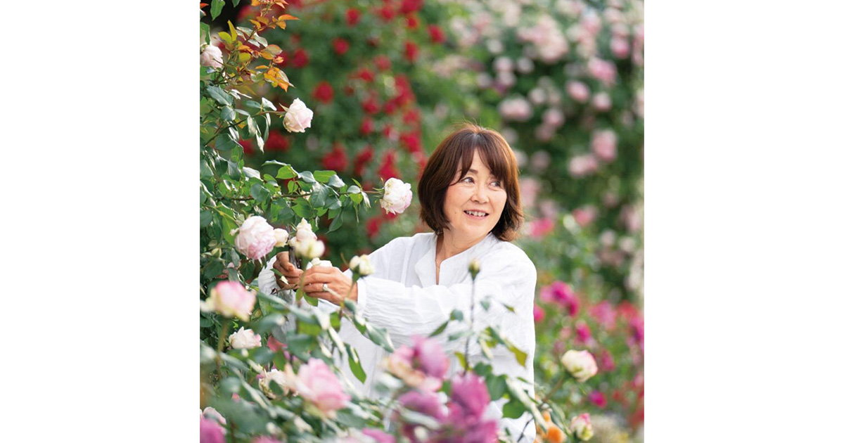 1鉢からはじめるバラのある暮らし “バラをもっと身近に”——後藤みどり