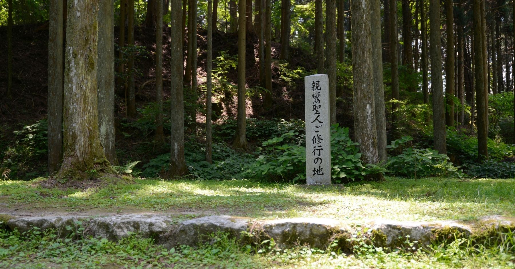 親鸞はその生涯をかけて何をしようとしたのか──釈徹宗さんと読む『教