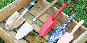 植松良枝さんと平野紗季子さんの「野菜ごはん修業中」。⾃分で育てた